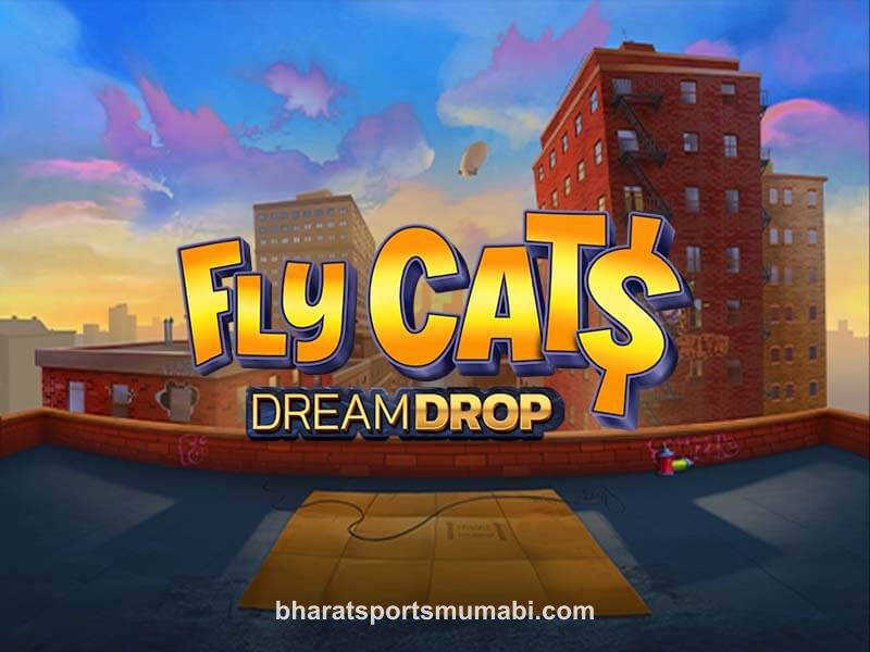 Fly Cats Dream Drop
